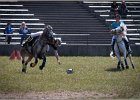 Pferd International 034